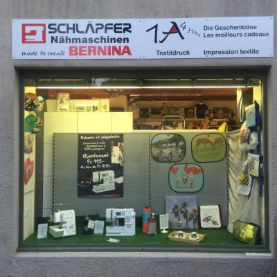 SchaufensterBrunngasse2.jpg